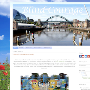blind courage charity
